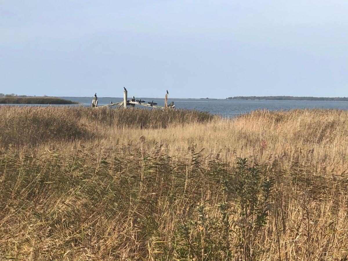 Ferienwohnung Leuchtfeuer Peenemunde Luaran gambar
